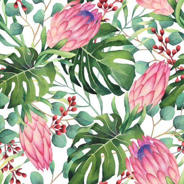 Protea and Delicious Monster Watercolour print