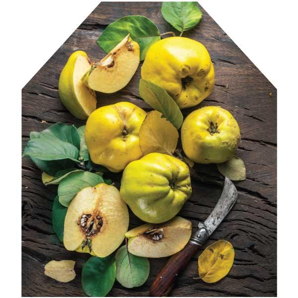 Printed Apron -Quince fruits on wood print