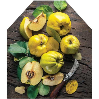 Printed Apron -Quince fruits on wood print