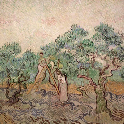 The Olive Orchard - Vincent van Gogh 1889 print