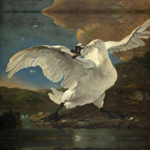 The Threatened Swan - Jan Asselijn 1650 print