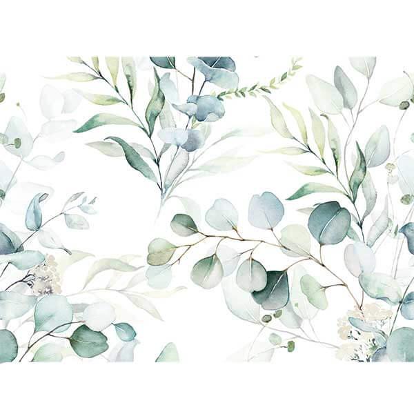 Watercolour Plants print