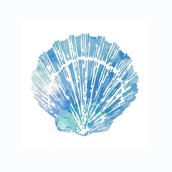 Watercolor seashell V2 artwork print