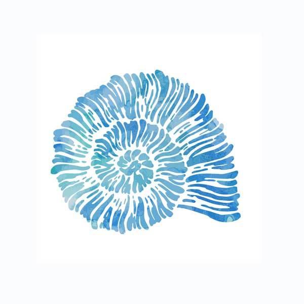 Watercolor seashell artwork scatter cushion