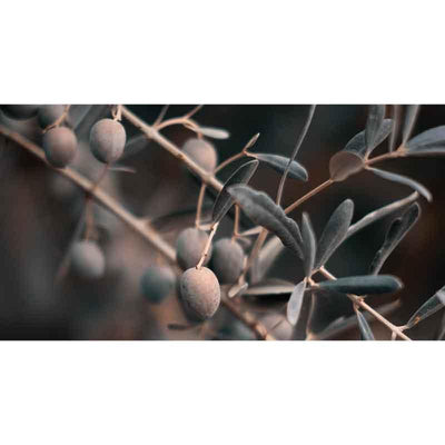 Luxe  Rectangular Cushion  - Autumn Olives - LAPERLE