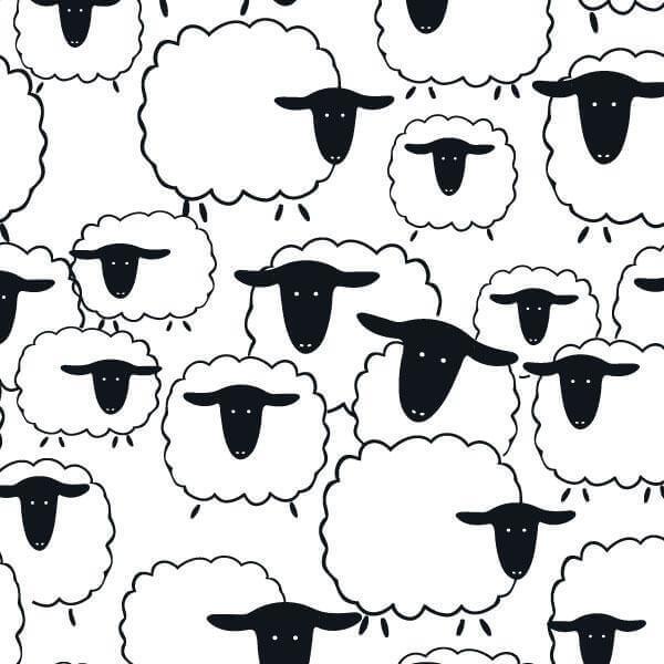 Cute Sheep print
