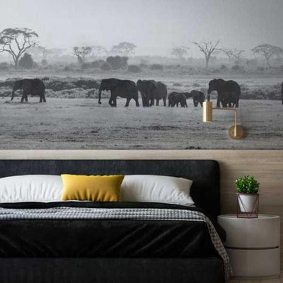 Elephants wallpaper