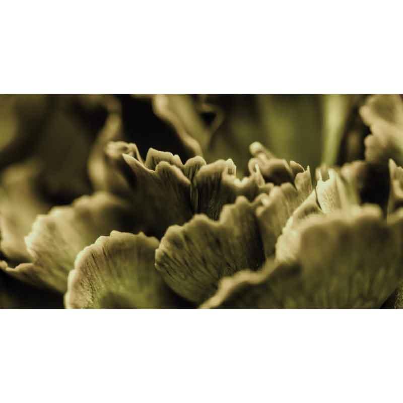Luxe Rectangular Cushion  - Shades of green mushroom - LAPERLE