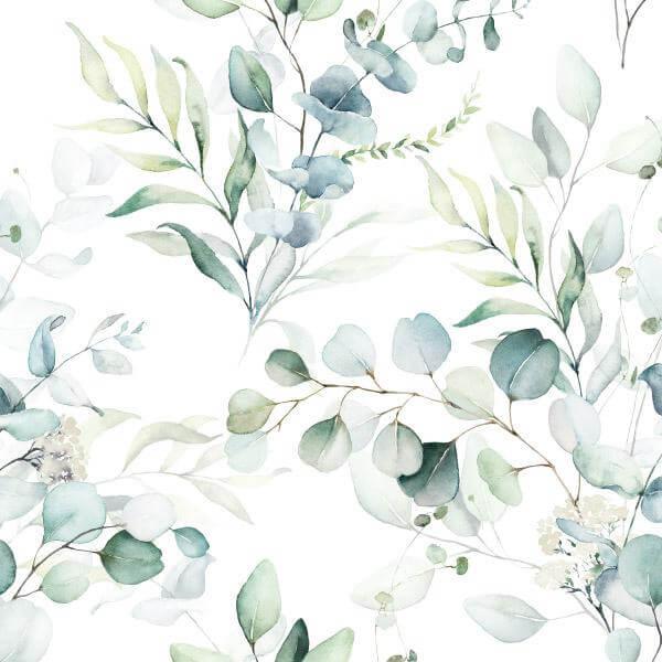 Watercolour Plants print